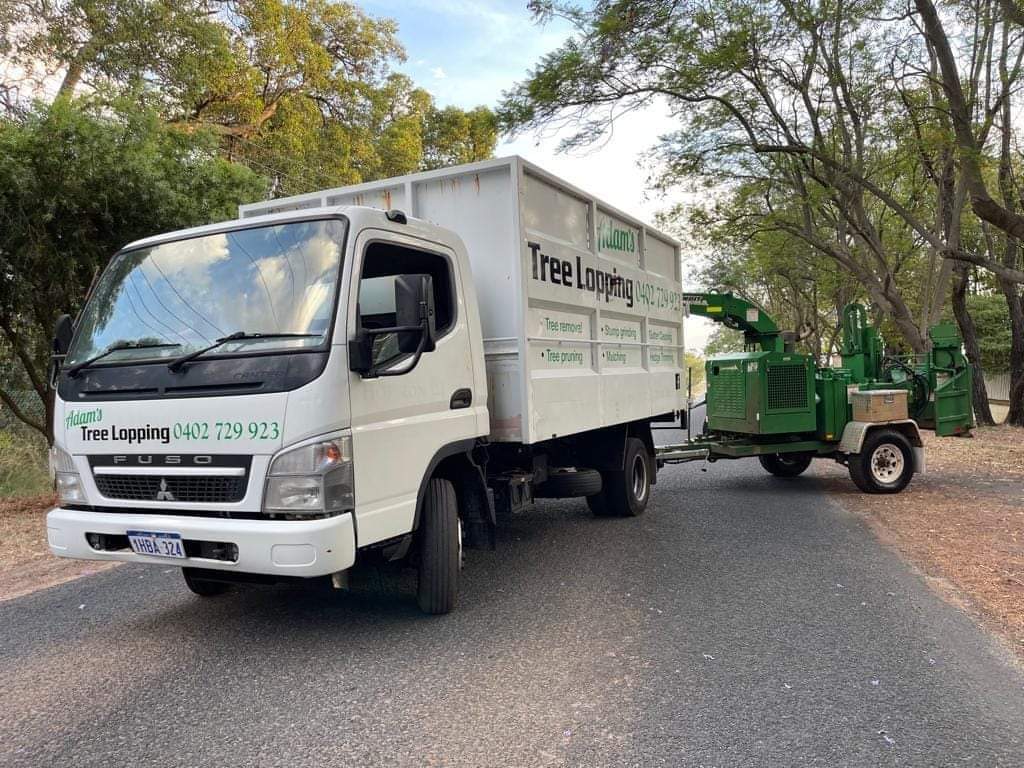 Adam's white Fuso tipper with Tree Lopping signwriting, towing the green chipper along a tree-lined street