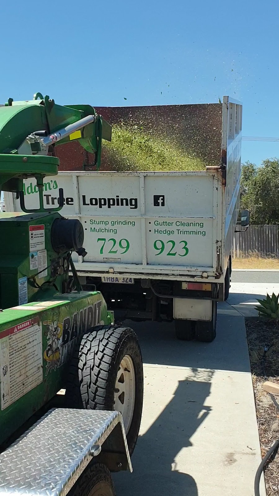 Green chipper blowing fresh mulch into the back of Adam's truck